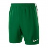 Шорты Nike Dry Short II WVN
