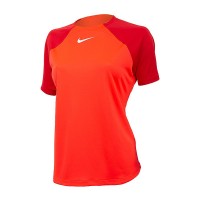 Футболка Nike W Nk Df Acdpr Ss Top K DH9242-635
