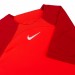Футболка Nike W Nk Df Acdpr Ss Top K DH9242-635