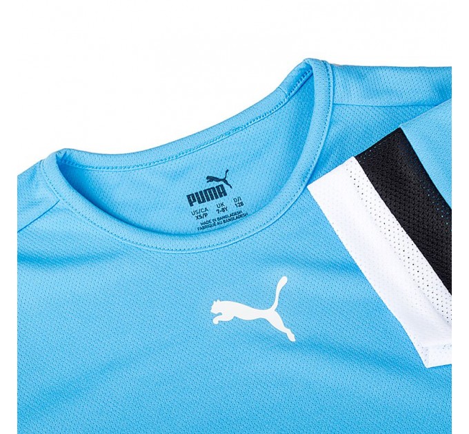 Футболка Puma Teamrise Jersey Jr 70493818