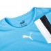 Футболка Puma Teamrise Jersey Jr 70493818