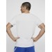 Футболка мужская Nike Dri-Fit (AR6029-100)