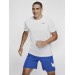 Футболка мужская Nike Dri-Fit (AR6029-100)