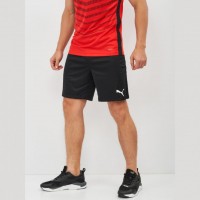 Шорты Puma Teamfinal 21 Knit Shorts 70425703