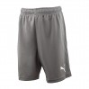 Шорты Puma Teamrise Short Jr 70494313