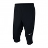 Nike Dry Academy 18 3/4 010