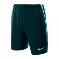 Шорты Nike M NK DRY SHORT SQD Z PR