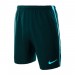 Шорты Nike M NK DRY SHORT SQD Z PR
