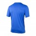 Футболка Nike M Nk Df Run Dvn Rise 365 Ss DM4769-432