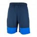 Шорты Nike M Nk Df Flx Wvn 9In Short DM6617-451