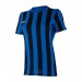 Футболка Nike W Nk Df Strp Dvsn Iv Jsy Ss CW3816-463