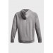 Кофта мужская Under Armour Rival Fleece Logo Hd (1379758-025)