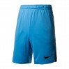 Шорты Nike M NK DRY SHORT 5.0