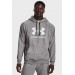 Кофта мужская Under Armour Rival Fleece Logo Hd (1379758-025)