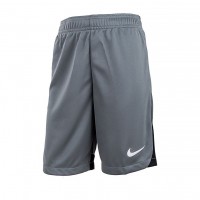 Шорты Nike Y Nk Df Acdpr Short K DH9287-084