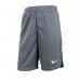 Шорты Nike Y Nk Df Acdpr Short K DH9287-084
