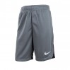 Шорты Nike Y Nk Df Acdpr Short K DH9287-084