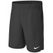 Шорты Nike M Nkct Df Vctry 9In Short CV2545-010