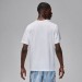 Футболка мужская Jordan Dri-Fit Sport Performance (FN5829-100)