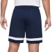 Шорти Nike M Nk Df Acd21 Short K CW6107-452