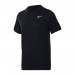 Футболка чоловіча Nike M Nk Dry Tee Dfc Crew Solid (AR6029-010)