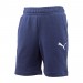 Шорти Puma Teamgoal23 Casuals Shorts Jr 65671206