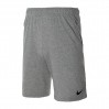 Шорты Nike M NK DRY FIT COTTON 2.0
