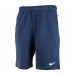 Шорти Nike M Nk Df Shrt Fl DA5556-451
