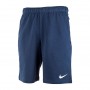 Шорты Nike M Nk Df Shrt Fl DA5556-451