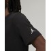Футболка мужская Jordan Mens T-Shirt (DM3182-010)