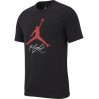 Футболка мужская Jordan Jumpman Flight Hbr Tee (AO0664-010)