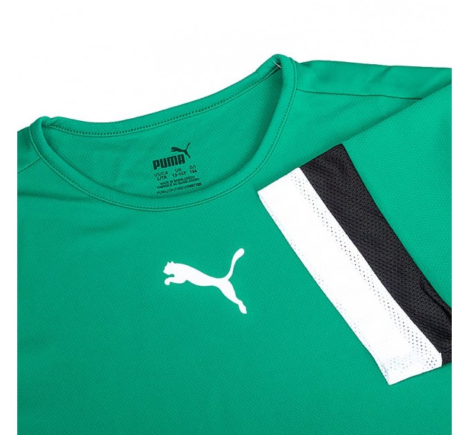 Футболка Puma Teamrise Jersey Jr 70493805