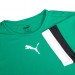 Футболка Puma Teamrise Jersey Jr 70493805