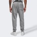 Брюки мужские Jordan Ess Flc Pant (FJ7779-091)