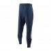Брюки мужские Nike Sportswear Swoosh Tech Fleece Men's Trousers (DH1023-437)