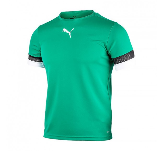 Футболка Puma Teamrise Jersey Jr 70493805