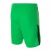 Шорти Nike Dry League Knit II Short Nb