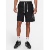 Шорты мужские Nike Sportswear Alumni (DB3810-010)
