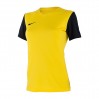 Футболка Nike W Nk Df Tiempo Prem Ii Jsy Ss DH8233-719