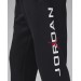 Брюки чоловічі Jordan Essentials (HQ4645-010)