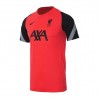 Футболка Nike Lfc M Nk Brt Strk Top Ss Cl CZ3305-644