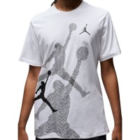 Футболка чоловіча Jordan Brand Ss Hbr Crew (FN6025-100)
