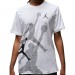Футболка мужская Jordan Brand Ss Hbr Crew (FN6025-100)