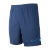 Шорти Nike M Nk Df Acd21 Short K CW6107-410