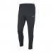 Тренировочные штаны Nike Dry Academy 19 цвет: графитовый