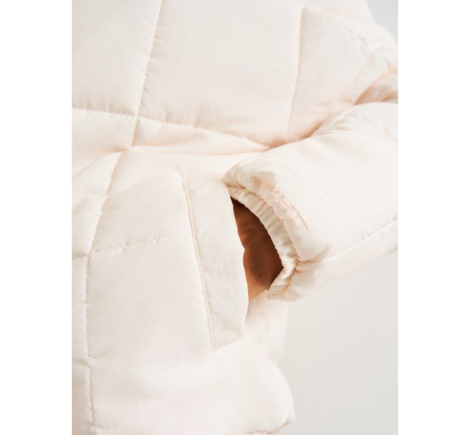 Куртка жіноча Nike Nsw Esstl Thrmr Clsc Puffer (FB7672-838)