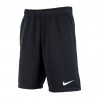 Шорты Nike M Nk Df Shrt Fl DA5556-010