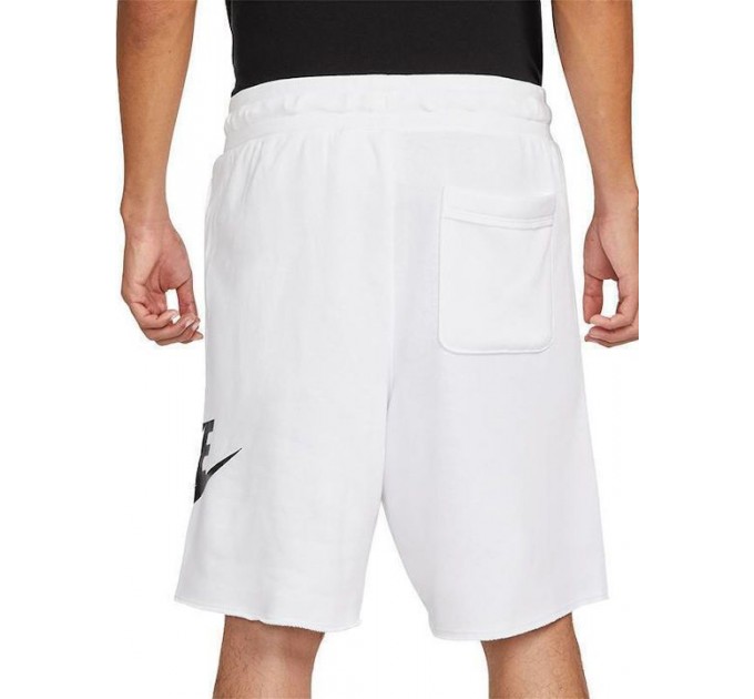Шорты мужские Nike Club Alumni Hbr Ft Short (DX0502-100)
