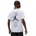 Футболка мужская Jordan Brand Short-Sleeve Jumpman (FN6029-100)