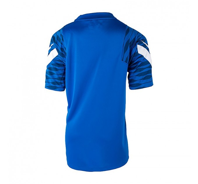 Футболка Nike Y Nk Df Strke21 Top Ss CW5847-463